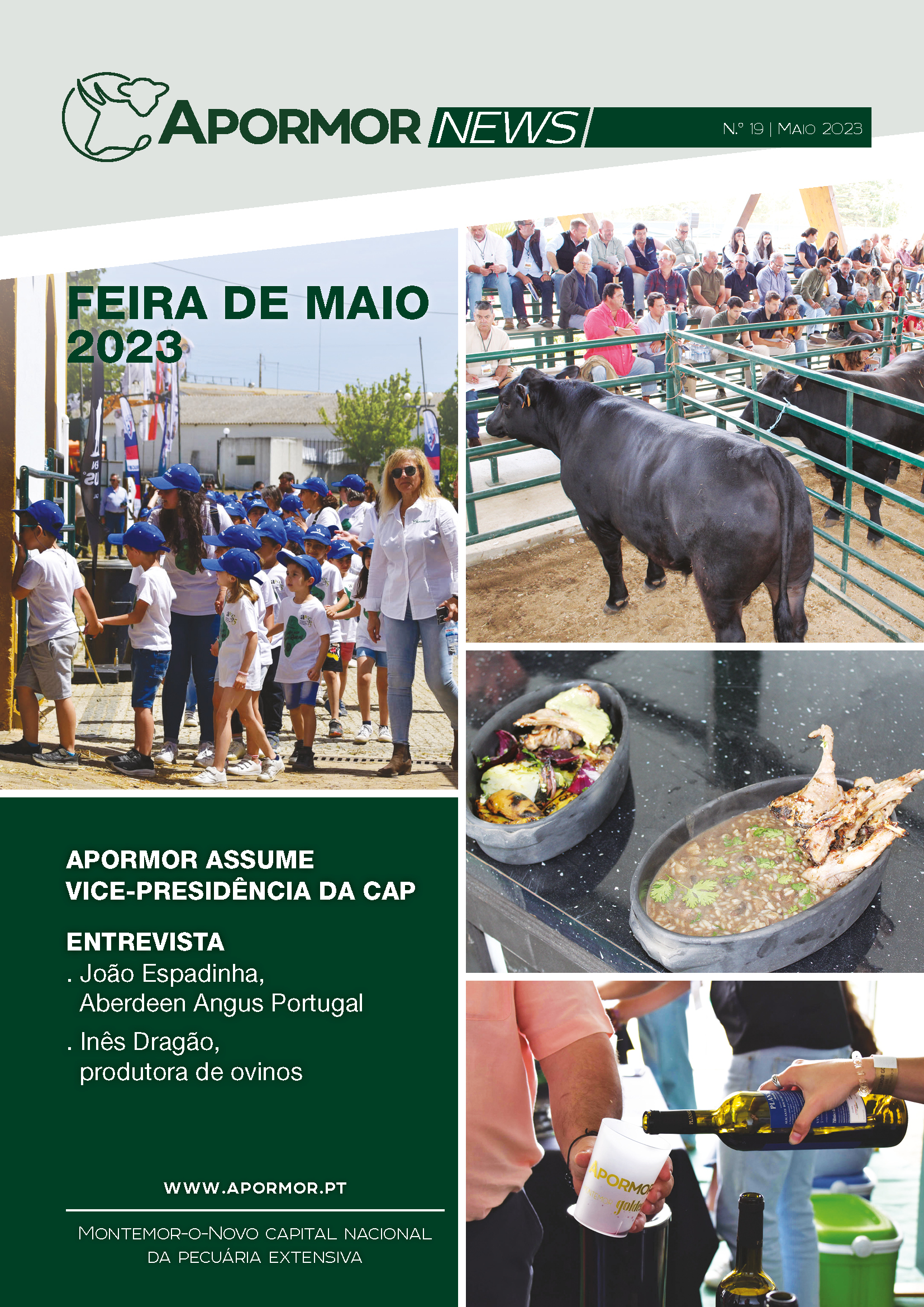 Newsletter Capa