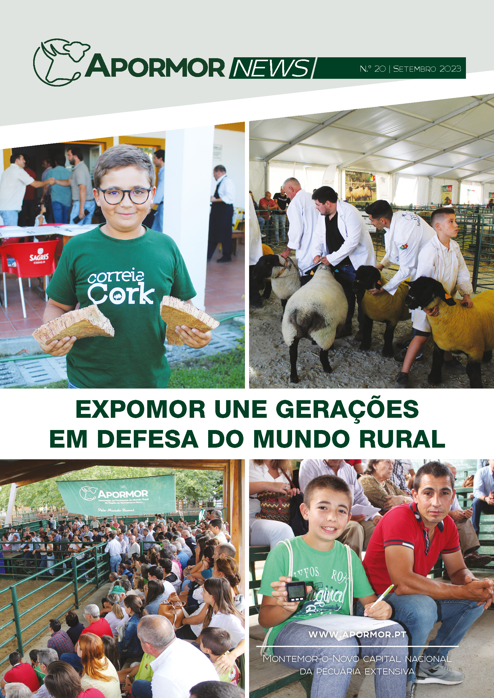 Newsletter Capa
