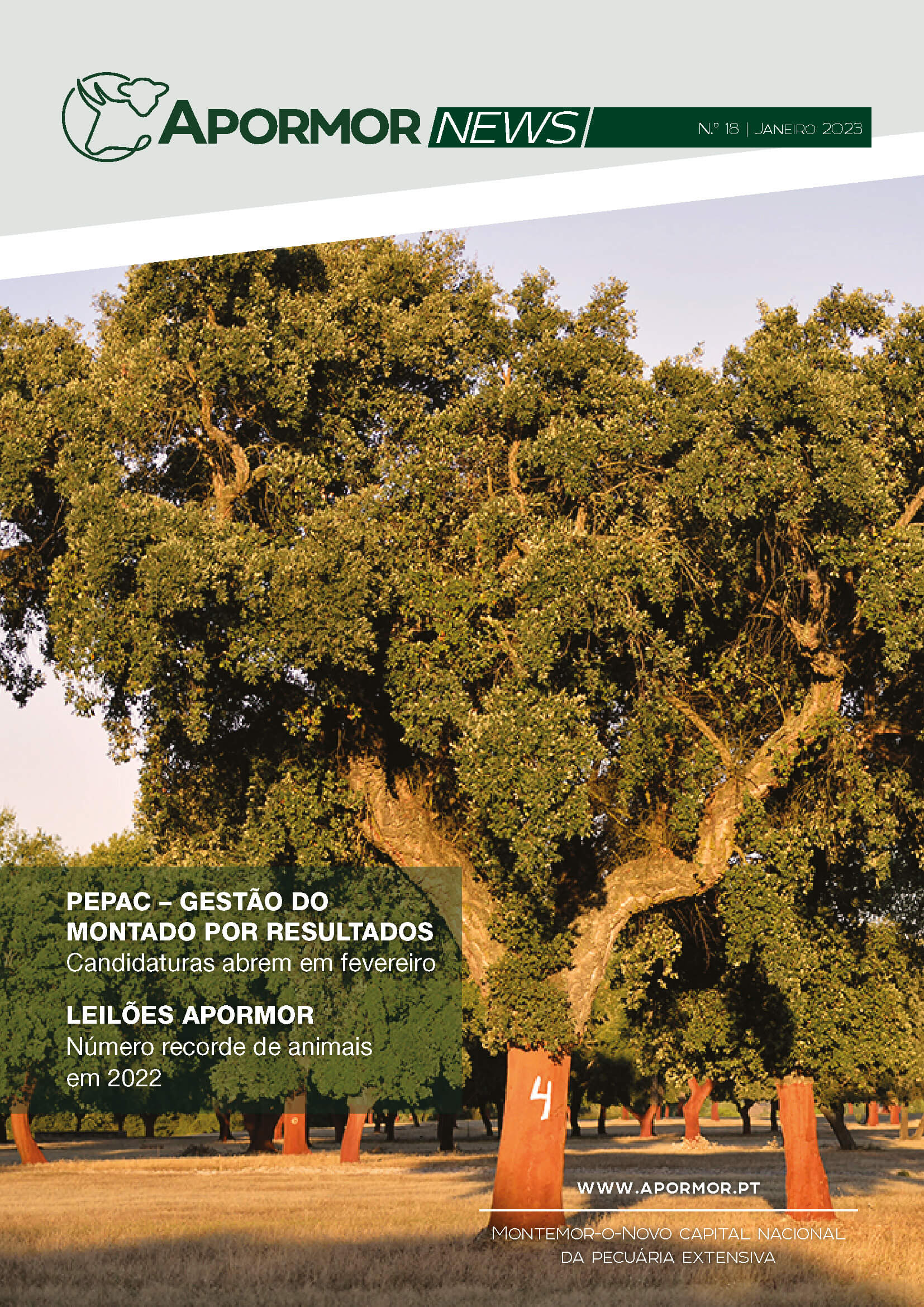 Newsletter Capa