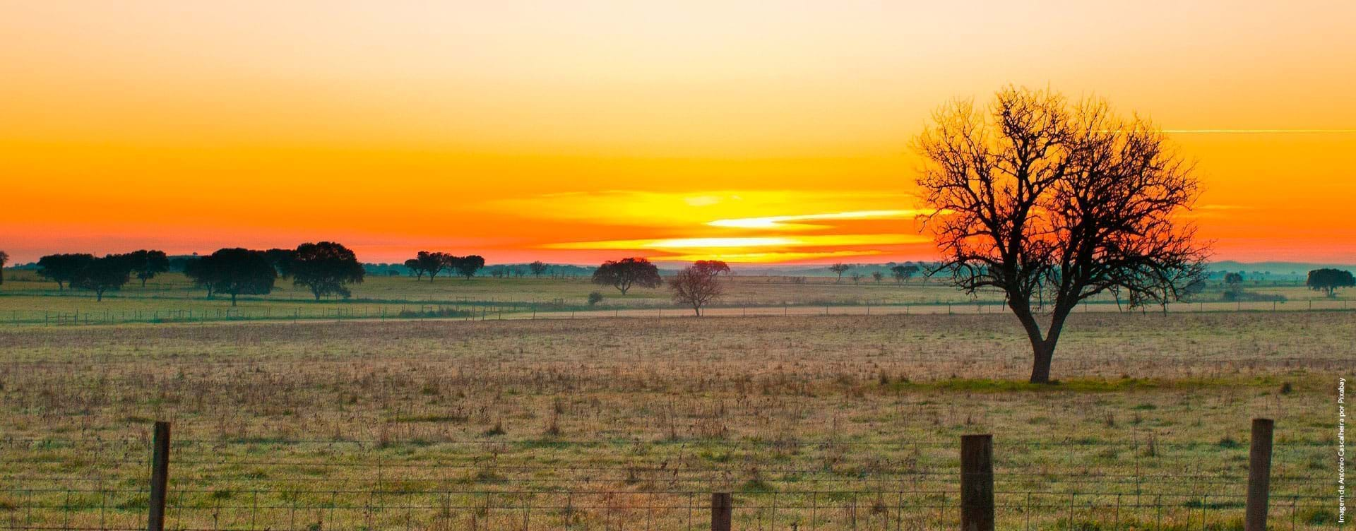 Alentejo